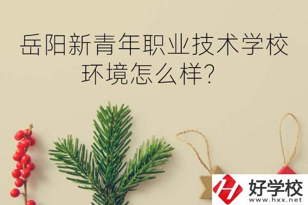 岳陽新青年職業(yè)技術學校好不好？環(huán)境怎么樣？