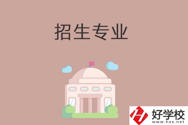 益陽有哪些高職院校設(shè)立了中職部？招生專業(yè)有哪些？