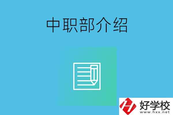 湘潭院校中職部介紹，這幾所學校你知道嗎？