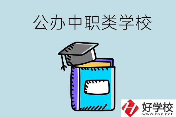 湘西的公辦中職類學(xué)校一共有多少所？