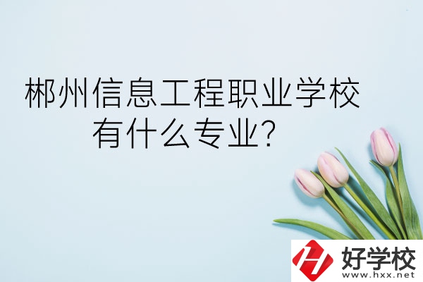 郴州信息工程職業(yè)學校有什么專業(yè)？