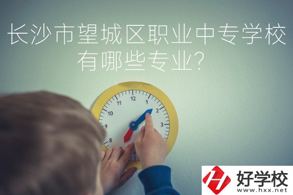 長沙市望城區(qū)職業(yè)中等專業(yè)學(xué)校有哪些專業(yè)？