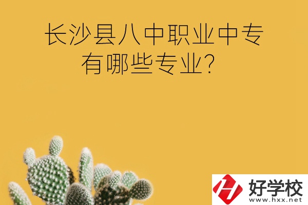 長(zhǎng)沙縣八中職業(yè)中專(zhuān)好不好？有哪些專(zhuān)業(yè)？