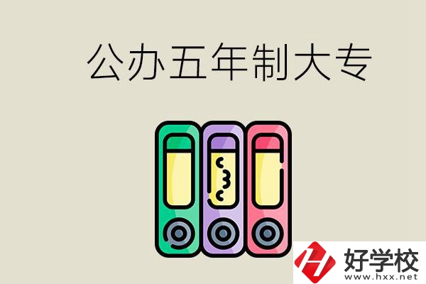 岳陽(yáng)有什么公辦的五年制大專學(xué)校？讀了有用嗎？