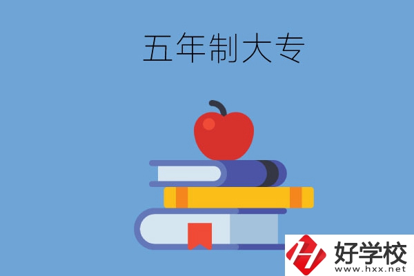 長沙開設(shè)教育類專業(yè)的五年制大專有哪些？