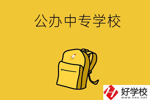 湖南省有哪些比較好的公辦中專(zhuān)學(xué)校？