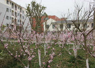 陜西數(shù)控機(jī)床加工專業(yè)學(xué)校招生