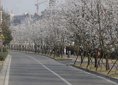 石阡商業(yè)職校2025年報(bào)名條件是什么