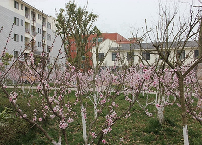 揚(yáng)州旅游商貿(mào)學(xué)校在揚(yáng)州哪里 學(xué)校怎么樣