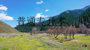 普通專升本招生院校的條件