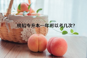 統(tǒng)招專升本一年可以考幾次？