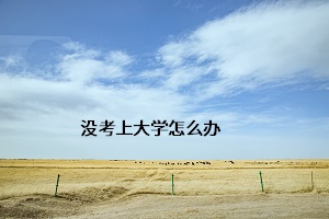 沒考上大學怎么辦