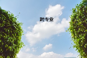 跨專業(yè)