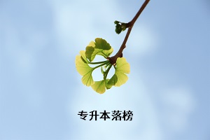 專升本落榜