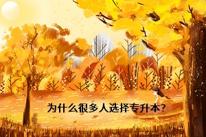 為什么很多人選擇專(zhuān)升本？