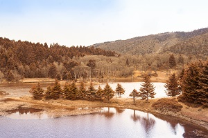 學(xué)習(xí)方法