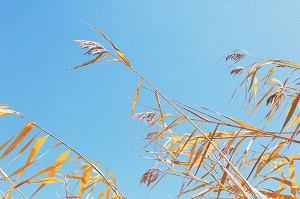 學(xué)會(huì)解決問(wèn)題