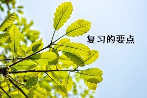 復(fù)習(xí)的要點(diǎn)
