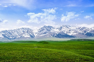 專(zhuān)升本有什么用