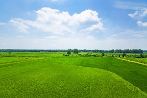 招生對(duì)象不同