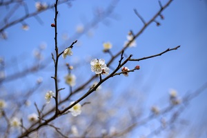 重質(zhì)量而非數(shù)量