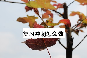 復(fù)習沖刺怎么做