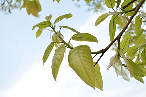 合理安排復(fù)習(xí)計(jì)劃