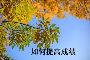 如何提高成績(jī)