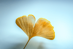 不會(huì)安排規(guī)劃