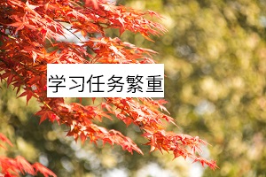 學(xué)習(xí)任務(wù)繁重