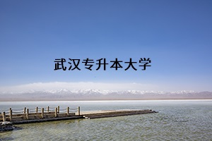 武漢專升本大學
