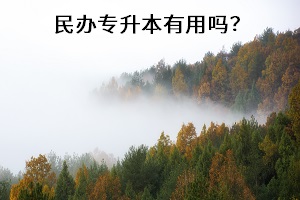 民辦專升本有用嗎？