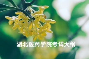 湖北醫(yī)藥學(xué)院考試大綱