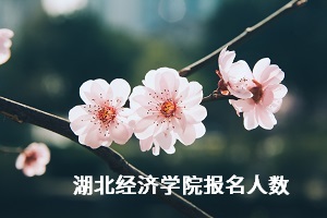 湖北經(jīng)濟(jì)學(xué)院報(bào)名人數(shù)