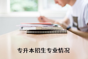 湖北專升本公辦院校中，江漢大學(xué)報考法語專業(yè)的人數(shù)少意味著什么？