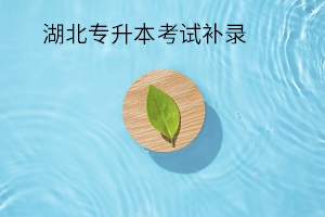 湖北專升本考試補錄