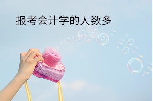 報(bào)考會(huì)計(jì)學(xué)的人數(shù)多