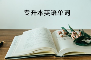 專(zhuān)升本英語(yǔ)單詞