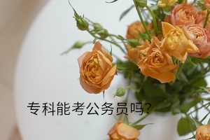 專(zhuān)科能考公務(wù)員嗎