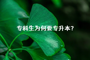 ?？粕捅究粕啾仁遣皇窍嗖詈苓h(yuǎn)？?？粕捅究粕牟罹嗑烤乖谀睦?？