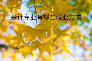 會計專業(yè)有哪些就業(yè)方向