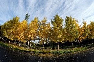 大專第三年才開始準(zhǔn)備普通專升本考試來得及嗎？該如何備考？