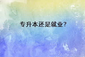 專升本還是就業(yè)？