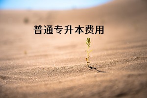 報考普通專升本，一共需要花費多少錢？