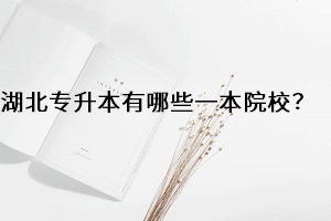 湖北專升本院校有哪些一本院校