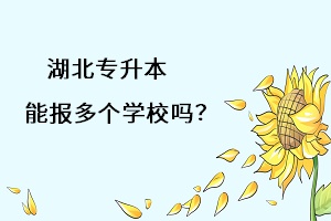 湖北專升本能報(bào)多個(gè)學(xué)習(xí)嗎？