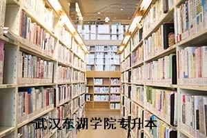 武漢東湖學院專升本