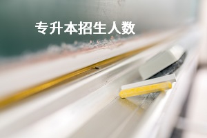 專升本招生人數(shù)