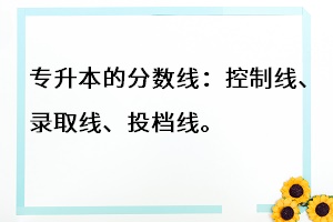 專升本的分數(shù)線：控制線、錄取線、投檔線。