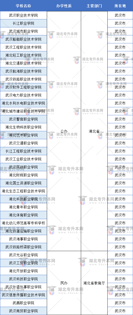 武漢市內(nèi)的?？茖W(xué)校